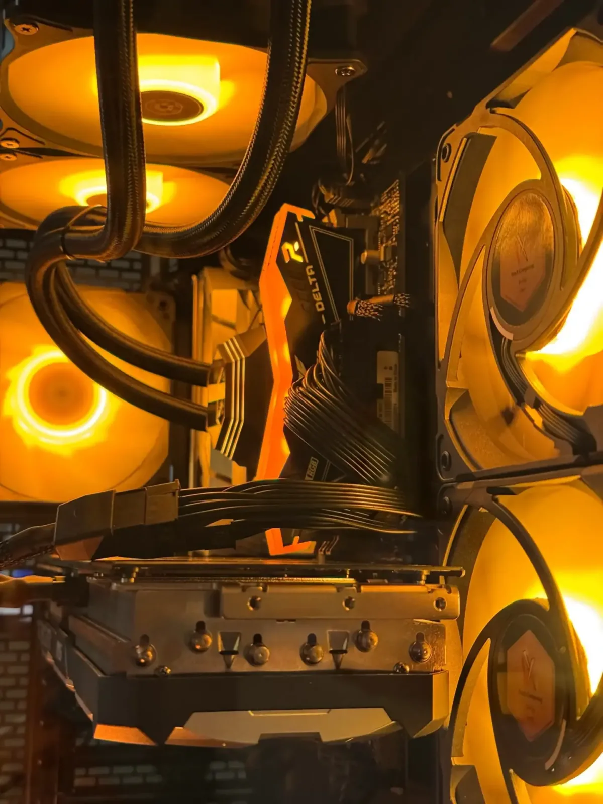 Close up venx apexassasin